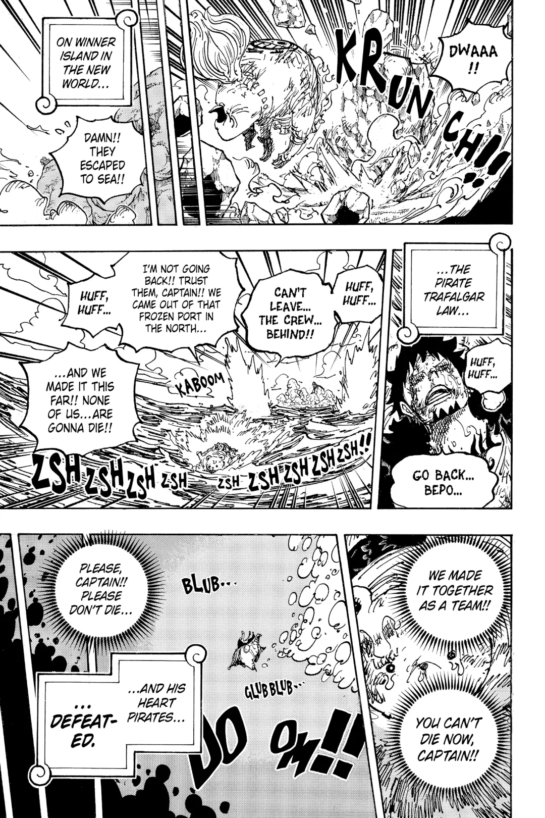 One Piece, Chapter 1081 image 14